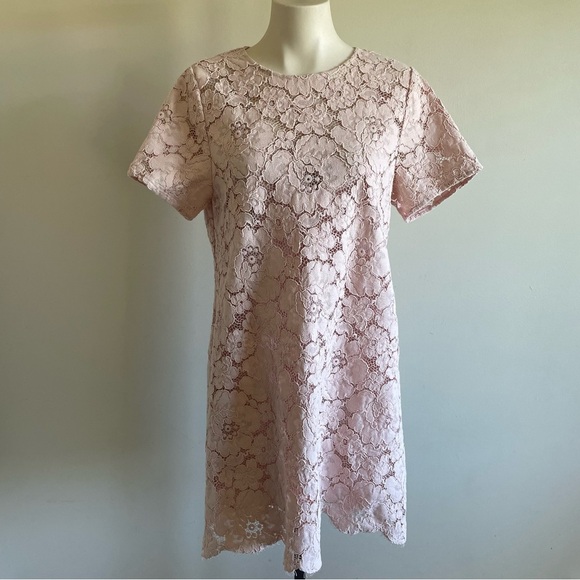 BCBGMaxAzria Diane Lace Mini Dress Pastel Pink Oversized With Slip Size Medium - Picture 3 of 16